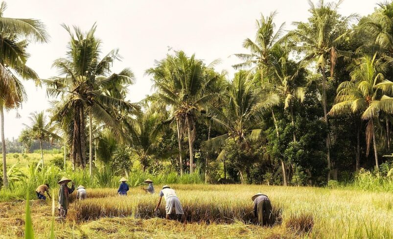 Kumpulan Wisata Religi (Part II)